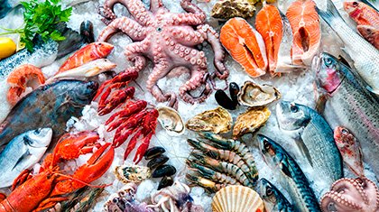 «Моремания»: как блюда из морепродуктов могут стоить 500 рублей?