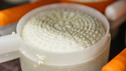 Адыгейский сыр: где и как делают настоящий?