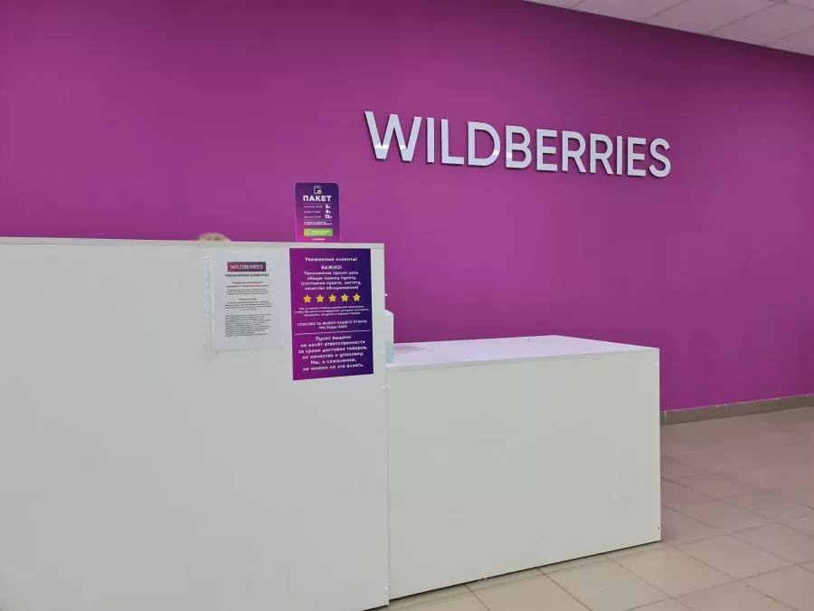 Wildberries планирует выйти на рынки ОАЭ, Бразилии, Индии и Африки