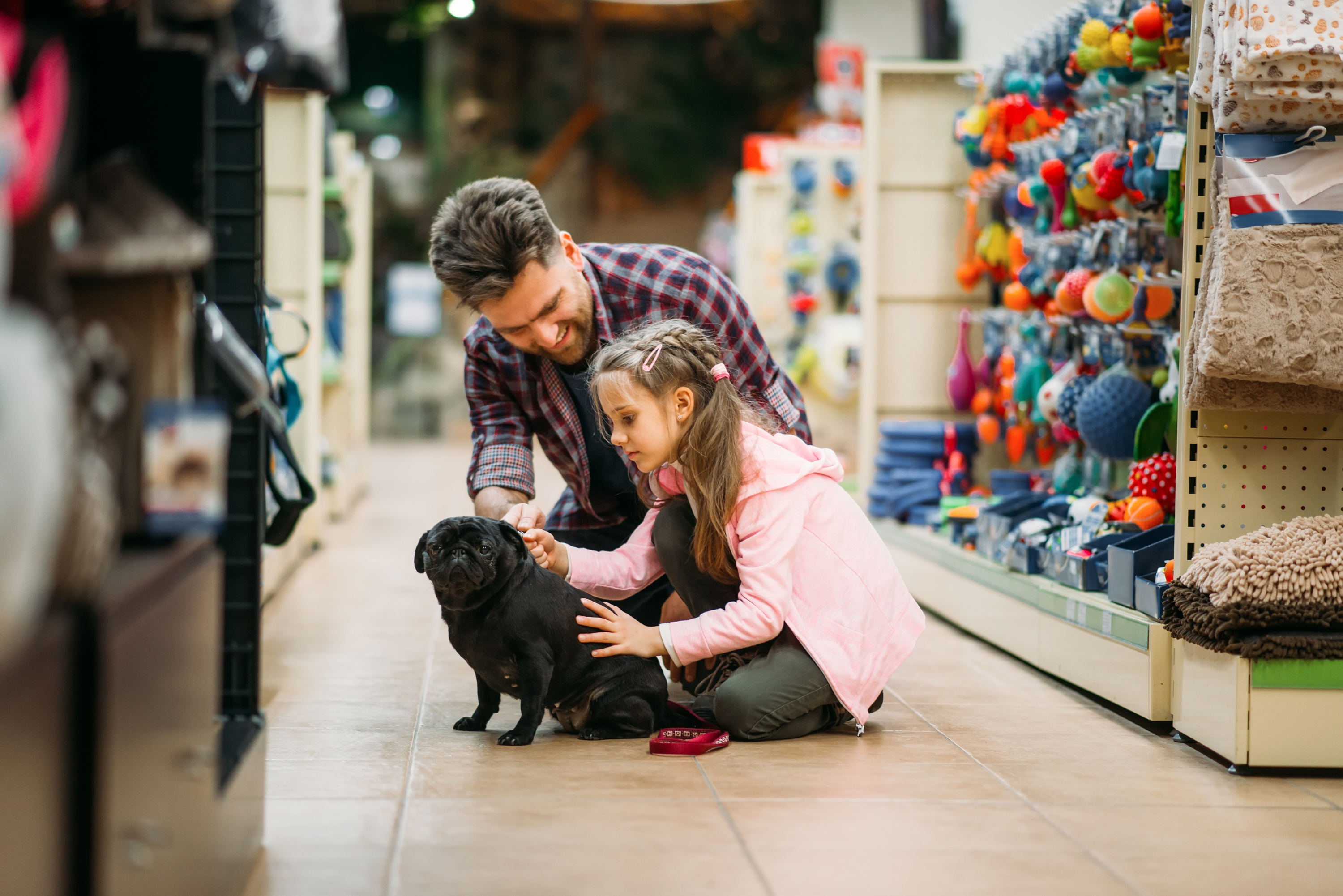 Shopping pet